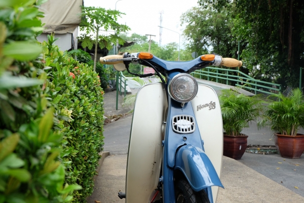 ขาย Honda c100 ขาย Honda c100
