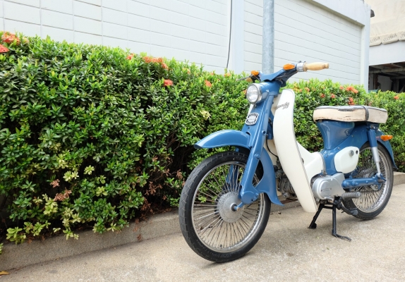 ขาย Honda c100