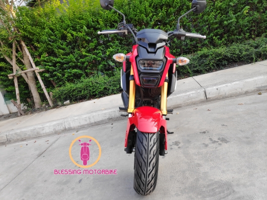 HONDA MSX SF ปี 62 รถสวยๆ เอกสารครบ รับประกันเอกสาร สามารถลองขับได้ HONDA MSX SF ปี 62 รถสวยๆ เอกสารครบ รับประกันเอกสาร สามารถลองขับได้