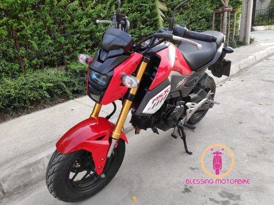 HONDA MSX SF ปี 62 รถสวยๆ เอกสารครบ รับประกันเอกสาร สามารถลองขับได้ HONDA MSX SF ปี 62 รถสวยๆ เอกสารครบ รับประกันเอกสาร สามารถลองขับได้