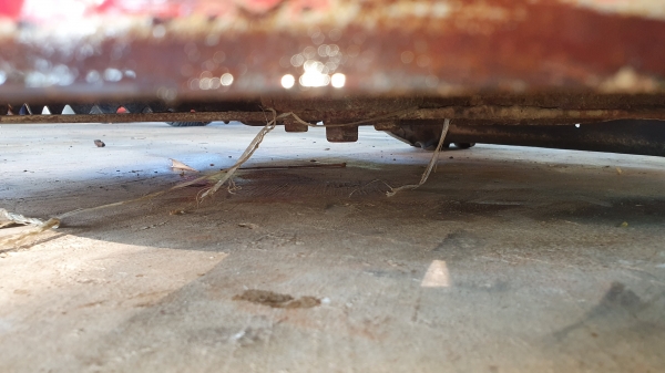 รถตัดหญ้าเดินหน้าถอยหลังได้ เดินตาม