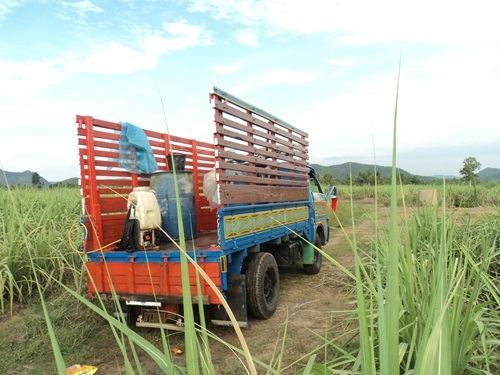 ขายรถผมเองรถบรรทุกสี่ล้อELF85HP ผมทำสีให้ใหม่และแต่งให้พร้อม ใช้ในกาลเกษรมีทะเบียนวิ่งทางใกลได้ครับ