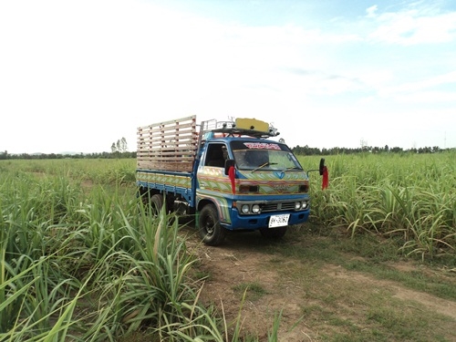 ขายรถผมเองรถบรรทุกสี่ล้อELF85HP ผมทำสีให้ใหม่และแต่งให้พร้อม ใช้ในกาลเกษรมีทะเบียนวิ่งทางใกลได้ครับ