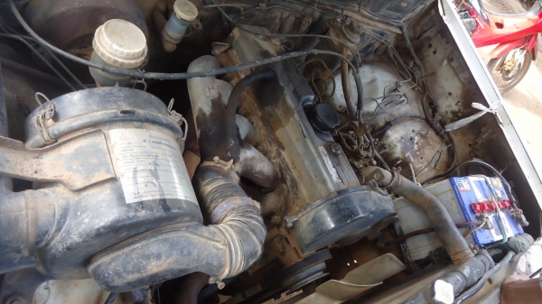 ขายไซโคลน ขายไซโคลน