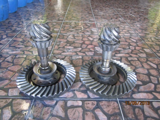 เฟืองบายสีกะเดือยหมู 837 นิสสันซาฟารี หน้าหลัง