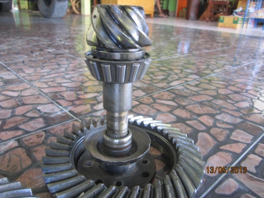 เฟืองบายสีกะเดือยหมู 837 นิสสันซาฟารี หน้าหลัง