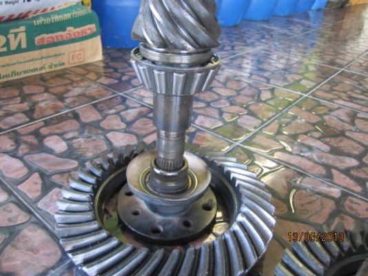 เฟืองบายสีกะเดือยหมู 837 นิสสันซาฟารี หน้าหลัง