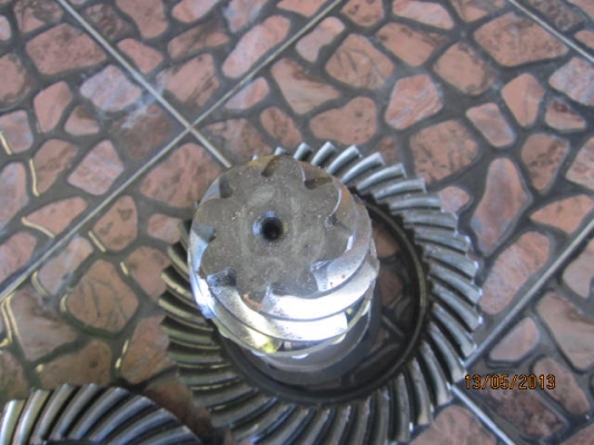 เฟืองบายสีกะเดือยหมู 837 นิสสันซาฟารี หน้าหลัง