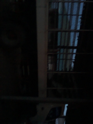 ขายhino dutroยาว4.30เมตร