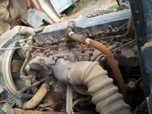 ขายด่วน ISUZU  FTR 32 F ยางใหม่ยังไม่ได้ใช้งาน  เครื่องแห้งแรงดี  คัตซีไม่เคยทำสี  ภาษีเต็ม  เบรคชีฟฟี่  แอร์เย็น  ซื้อจริงต่อรองได้เลยครับ