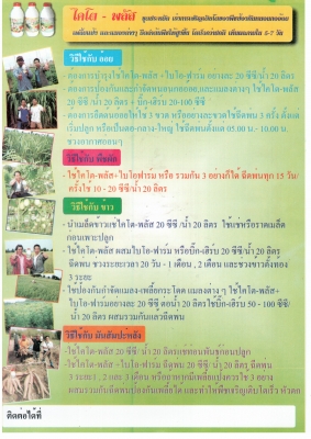 ปุ้ยน้ำไคโตพลัส เพิ่มผลผลิตด้วยพลังไคโตซาน ปลอดสารพิษ ปุ้ยน้ำไคโตพลัส เพิ่มผลผลิตด้วยพลังไคโตซาน ปลอดสารพิษ