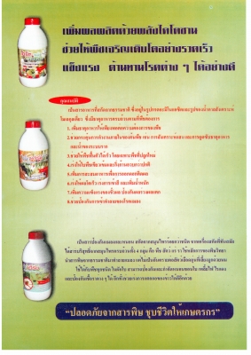 ปุ้ยน้ำไคโตพลัส เพิ่มผลผลิตด้วยพลังไคโตซาน ปลอดสารพิษ ปุ้ยน้ำไคโตพลัส เพิ่มผลผลิตด้วยพลังไคโตซาน ปลอดสารพิษ