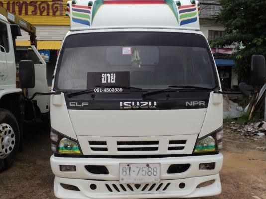 ขาย NPR 130 ปี 49 ดั้ม ขาย NPR 130 ปี 49 ดั้ม
