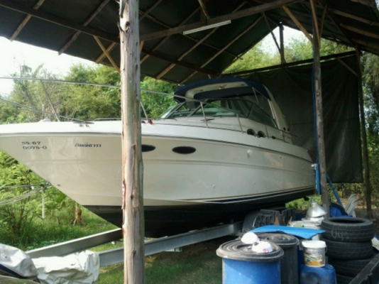 ขายเรือยอร์ช Sea Ray 310