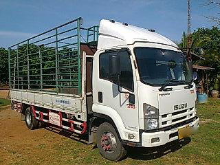 ขายรถบรรทุกหกล้อ Isuzu เครื่อง 210 แรง ปี 52 กระบะคาร์โก้ 5.50 เมตร ยาง 8.25 ทะเบียนพร้อม