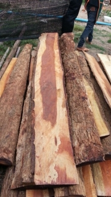 เหมาะสำหรับแต่งสวนแต่งบ้านหรือร้านอาหาร