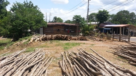 เหมาะสำหรับแต่งสวนแต่งบ้านหรือร้านอาหาร