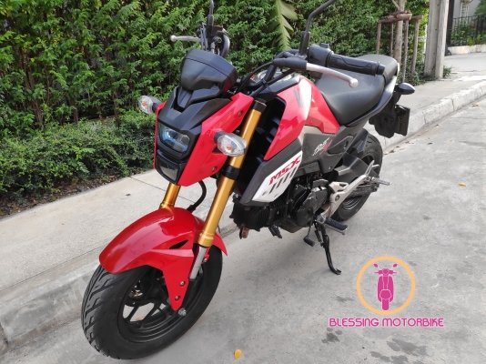 HONDA MSX SF ปี 62 รถสวยๆ เอกสารครบ รับประกันเอกสาร สามารถลองขับได้ HONDA MSX SF ปี 62 รถสวยๆ เอกสารครบ รับประกันเอกสาร สามารถลองขับได้