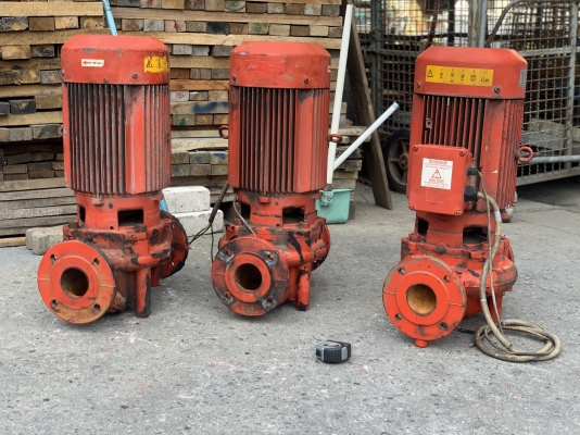 ขายปั๊มน้ำเพิ่มแรงดัน Inline Pump Salmson 10HP. 380V made in France ขนาดเข้า 2.5นิ้ว ออก 2.5นิ้ว สภาพสวย หมุนนิ่มเดิมๆ พร้อมใช้งาน มี 3ชุดครับ ขายปั๊มน้ำเพิ่มแรงดัน Inline Pump Salmson 10HP. 380V made in France ขนาดเข้า 2.5นิ้ว ออก 2.5นิ้ว สภาพสวย หมุนนิ่มเดิมๆ พร้อมใช้งาน มี 3ชุดครับ