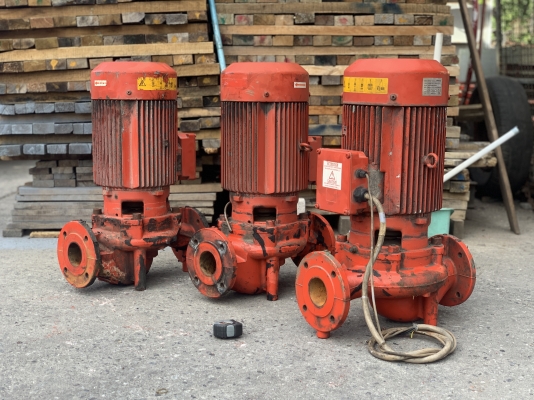 ขายปั๊มน้ำเพิ่มแรงดัน Inline Pump Salmson 10HP. 380V made in France ขนาดเข้า 2.5นิ้ว ออก 2.5นิ้ว สภาพสวย หมุนนิ่มเดิมๆ พร้อมใช้งาน มี 3ชุดครับ