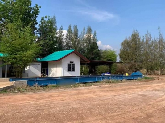 ขายตาชั่งขนาด3&times;18&times;80ตัน