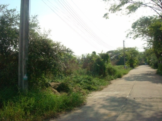 ให้เช่าที่ดิน 100 ตรว 2000/เดือน อยู่ พุทธมณฑล สาย 2