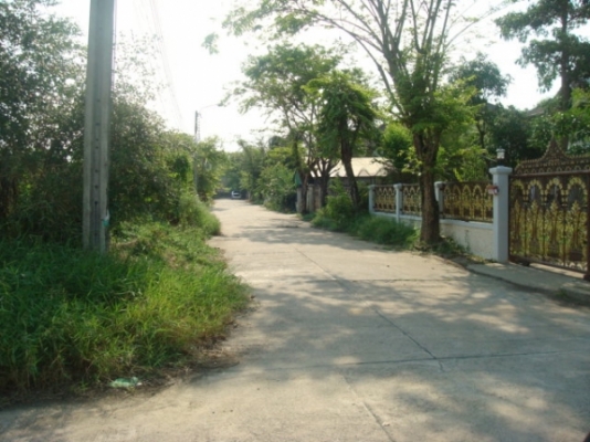 ให้เช่าที่ดิน 100 ตรว 2000/เดือน อยู่ พุทธมณฑล สาย 2