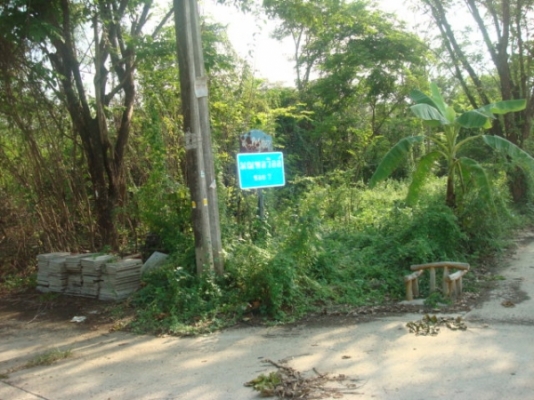 ให้เช่าที่ดิน 100 ตรว 2000/เดือน อยู่ พุทธมณฑล สาย 2