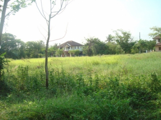 ให้เช่าที่ดิน 100 ตรว 2000/เดือน อยู่ พุทธมณฑล สาย 2