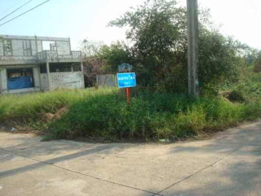 ให้เช่าที่ดิน 100 ตรว 2000/เดือน อยู่ พุทธมณฑล สาย 2