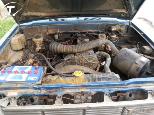 ม้ากะโดดขายถูกมากค่ะ