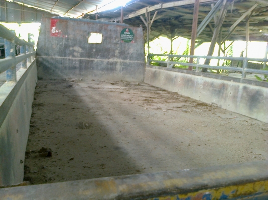 6ล้ออีซูซุ ดั้ม-ไม่ดั้มมี5คัน...ขายแยกหรือเหมายกก็ได้.รถเดิมๆออกห้างแท้ๆทุกคัน.... 6ล้ออีซูซุ ดั้ม-ไม่ดั้มมี5คัน...ขายแยกหรือเหมายกก็ได้.รถเดิมๆออกห้างแท้ๆทุกคัน....