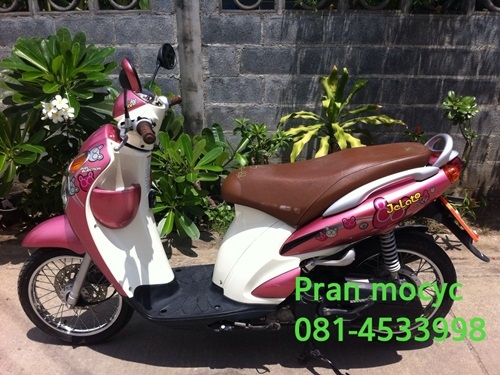 ขายjelatoสีชมพู ปี2555