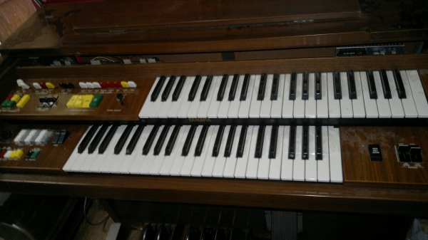 ขายอิเลคโทนyamaha