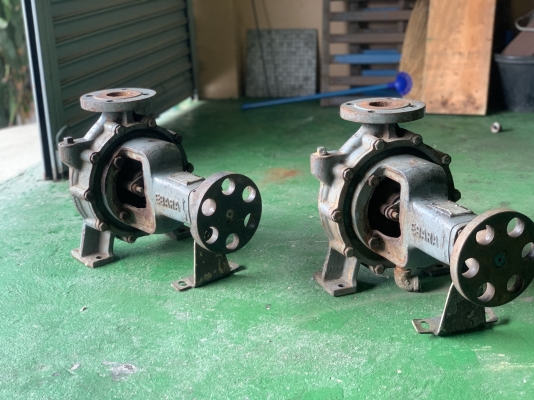 ( เหลือ 1ตัวครับ )ขายหัวปั๊มน้ำหอยโข่ง Ebara Pump 65x50FSH ขนาดเข้า 2.5นิ้ว ออก 2นิ้ว ใบพัดทองเหลือง สภาพสวยเดิมๆ พร้อมใช้งาน มี 2ตัวครับ ราคาตัวละ 6,500 บาท ( เหลือ 1ตัวครับ )ขายหัวปั๊มน้ำหอยโข่ง Ebara Pump 65x50FSH ขนาดเข้า 2.5นิ้ว ออก 2นิ้ว ใบพัดทองเหลือง สภาพสวยเดิมๆ พร้อมใช้งาน มี 2ตัวครับ ราคาตัวละ 6,500 บาท