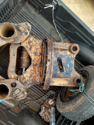 ขายปากคีบคอแข็งสลัก2นิ้วครึ่ง ขายปากคีบคอแข็งสลัก2นิ้วครึ่ง