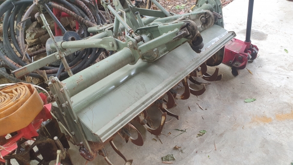 โรคารี ยาว 1.10 เมตร พร้อมยอย