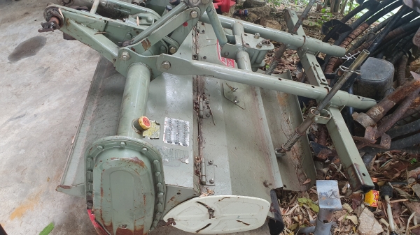 โรคารี ยาว 1.10 เมตร พร้อมยอย