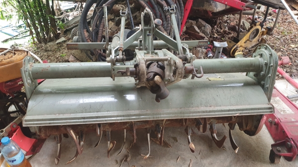 โรคารี ยาว 1.10 เมตร พร้อมยอย