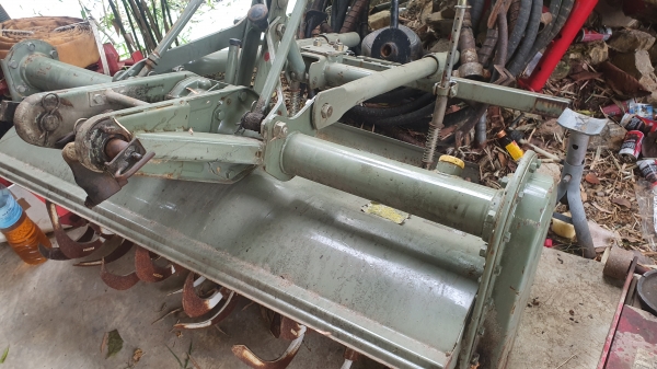 โรคารี ยาว 1.10 เมตร พร้อมยอย