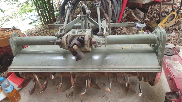 โรคารี ยาว 1.10 เมตร พร้อมยอย