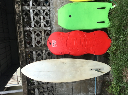 ‼️ขาย Surfboard & Body Bord มาใหม่‼️ ‼️ขาย Surfboard & Body Bord มาใหม่‼️