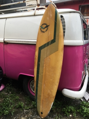 ‼️ขาย Surfboard &amp; Body Bord มาใหม่‼️