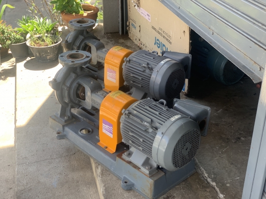 ขายชุดปั๊มน้ำหอยโข่ง Ebara 80x65 FSGA 10HP. 380V ขนาดเข้า 3นิ้ว ออก 2.5นิ้ว ใบพัดทองเหลือง ส่งไกล ได้น้ำเยอะ สภาพสวยใหม่มาก หมุนนิ่ม พร้อมใช้งาน มี 2ชุดครับ ราคาชุดละ 18,500 บาท ขายชุดปั๊มน้ำหอยโข่ง Ebara 80x65 FSGA 10HP. 380V ขนาดเข้า 3นิ้ว ออก 2.5นิ้ว ใบพัดทองเหลือง ส่งไกล ได้น้ำเยอะ สภาพสวยใหม่มาก หมุนนิ่ม พร้อมใช้งาน มี 2ชุดครับ ราคาชุดละ 18,500 บาท