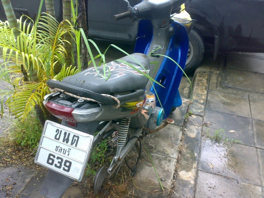 ขอขายเวฟ100ราคา8000บาทสนใจโทรมาคุยได้นะครับ ขอขายเวฟ100ราคา8000บาทสนใจโทรมาคุยได้นะครับ