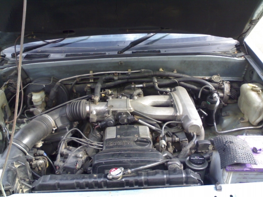 ขายมังกรทองวางเจติดแก๊สขาย129000ถุกๆๆ