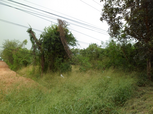 ขายที่ดิน 154 ไร่ๆละ 530000 บาท