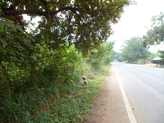 ขายที่ดิน 154 ไร่ๆละ 530000 บาท