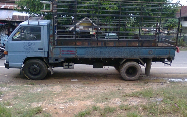 ขาย ISUZU เสี่ยสั่งลุย สวยเดิมๆ NPR 59 L เครื่อง 115 4BD1 รถห้างแท้ๆ