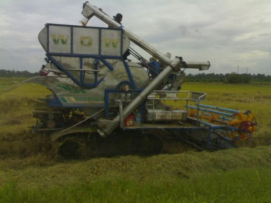 ขายรถเกี่ยวข้าวสภาพสวยสแตนเลสทั้งคันอู่ ต.เจริญการช่างอุ้มปรับระดับ